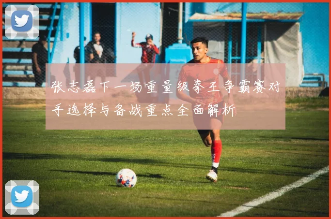 张志磊下一场重量级拳王争霸赛对手选择与备战重点全面解析