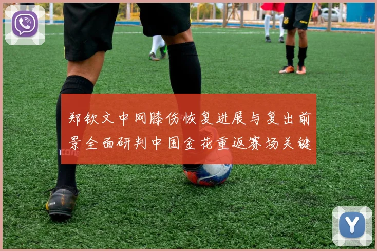 郑钦文中网膝伤恢复进展与复出前景全面研判中国金花重返赛场关键节点