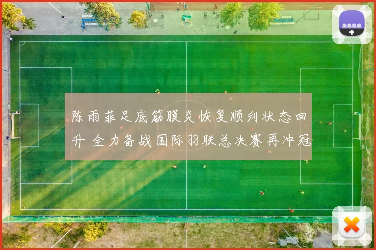 陈雨菲足底筋膜炎恢复顺利状态回升 全力备战国际羽联总决赛再冲冠