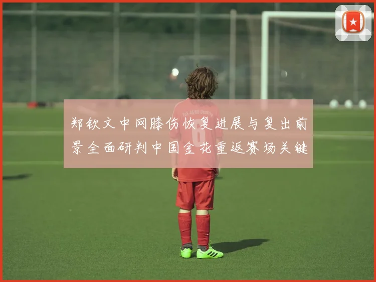 郑钦文中网膝伤恢复进展与复出前景全面研判中国金花重返赛场关键节点