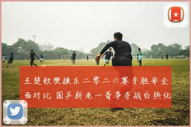王楚钦樊振东二零二六赛季胜率全面对比 国乒新老一哥争夺战白热化