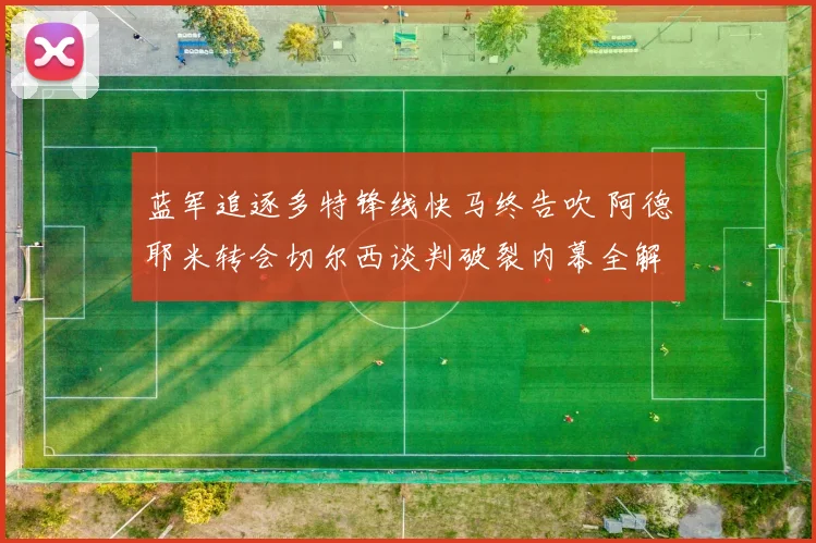 蓝军追逐多特锋线快马终告吹 阿德耶米转会切尔西谈判破裂内幕全解析