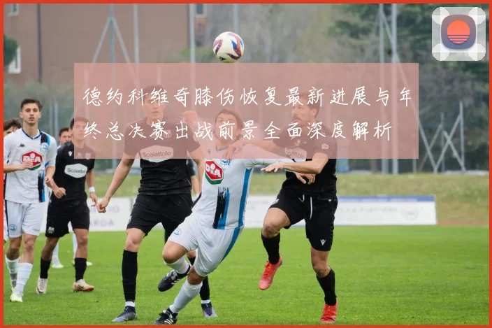 德约科维奇膝伤恢复最新进展与年终总决赛出战前景全面深度解析