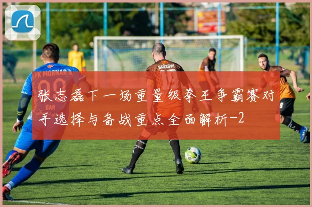 张志磊下一场重量级拳王争霸赛对手选择与备战重点全面解析