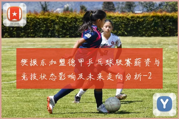 樊振东加盟德甲乒乓球联赛薪资与竞技状态影响及未来走向分析